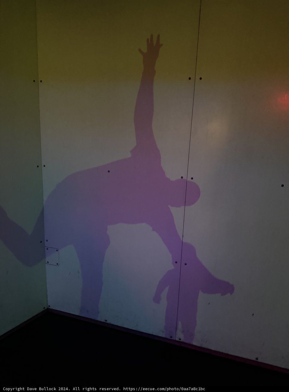 Skateboarding Shadows at Pier 15