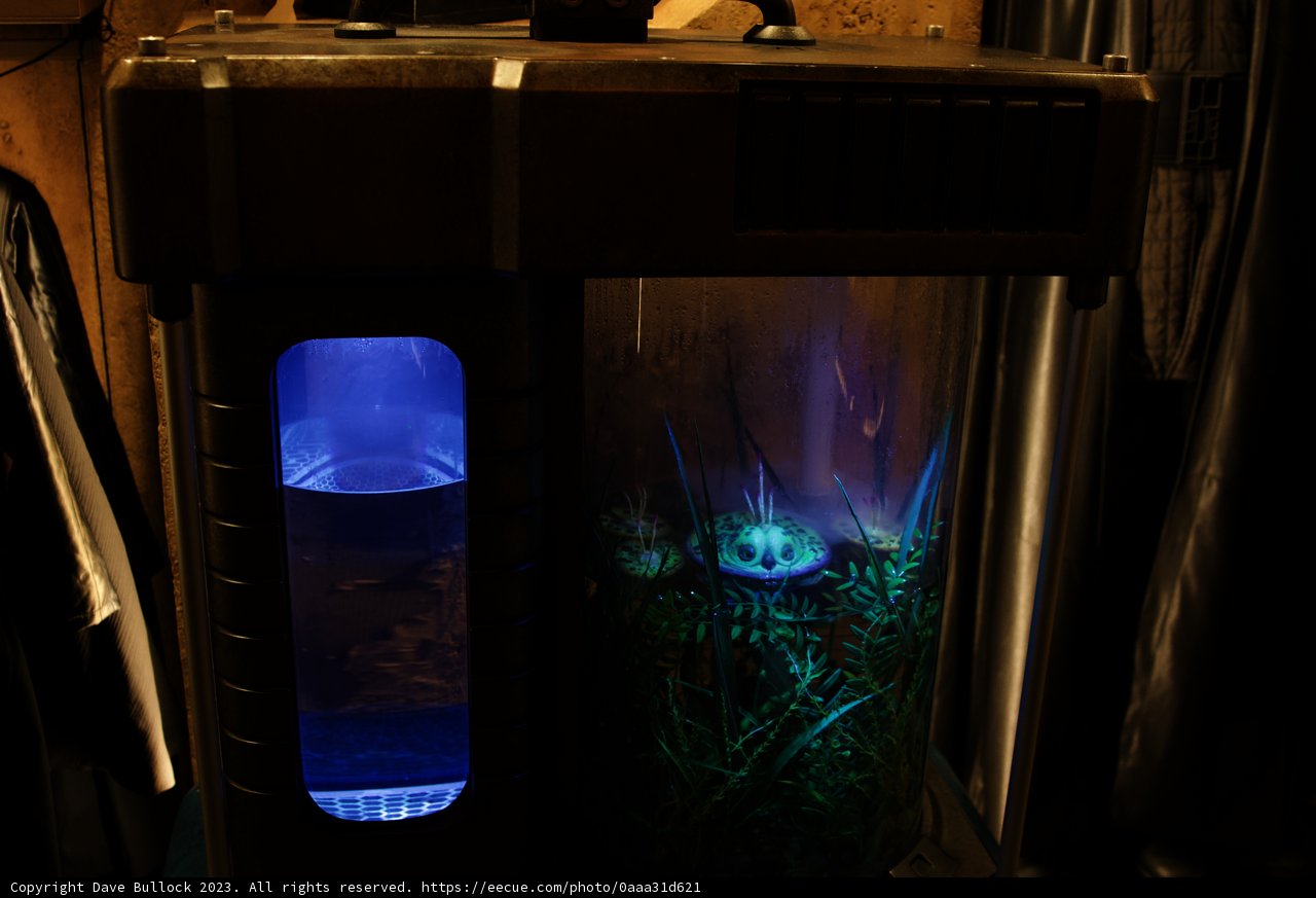 Blue Light Shines Bright in Aquarium