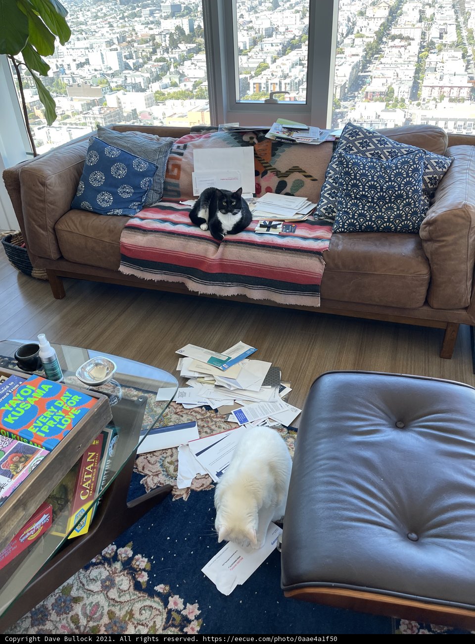 Cozy Living Room with Furry Friends
