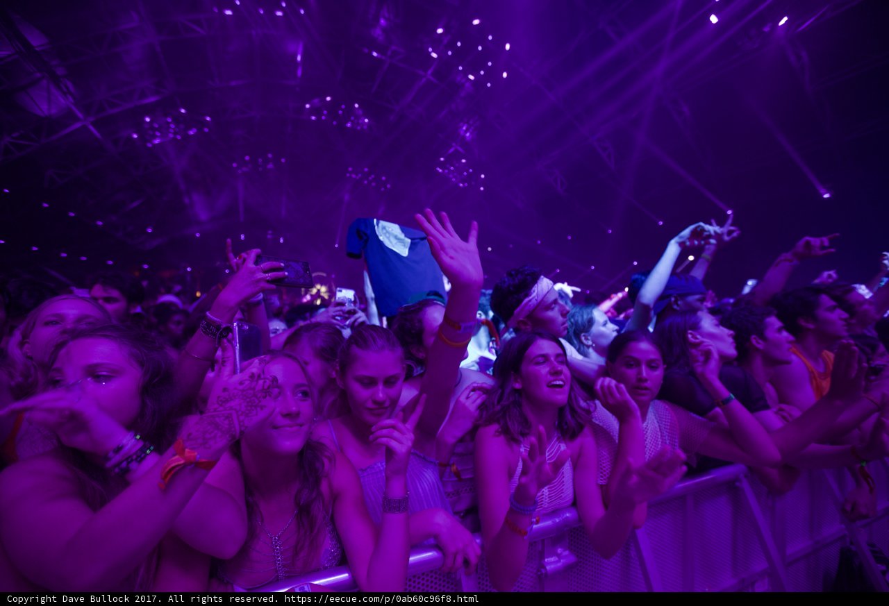 Purple Haze Party