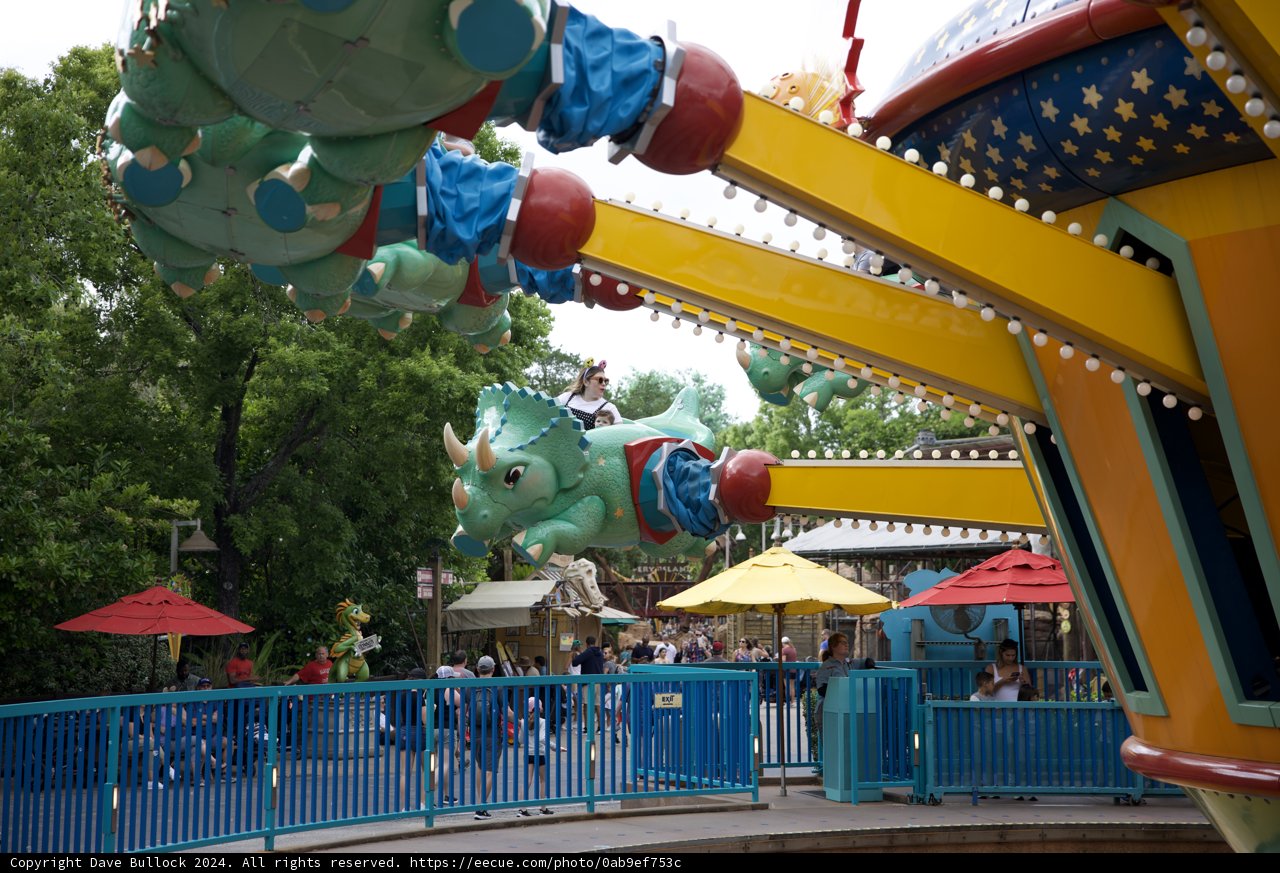 Vibrant Carousel Ride at Disneyworld Animal Kingdom