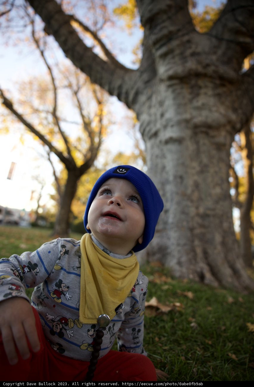 Sonoma Sunshine: Wesley's Adventures Outdoors