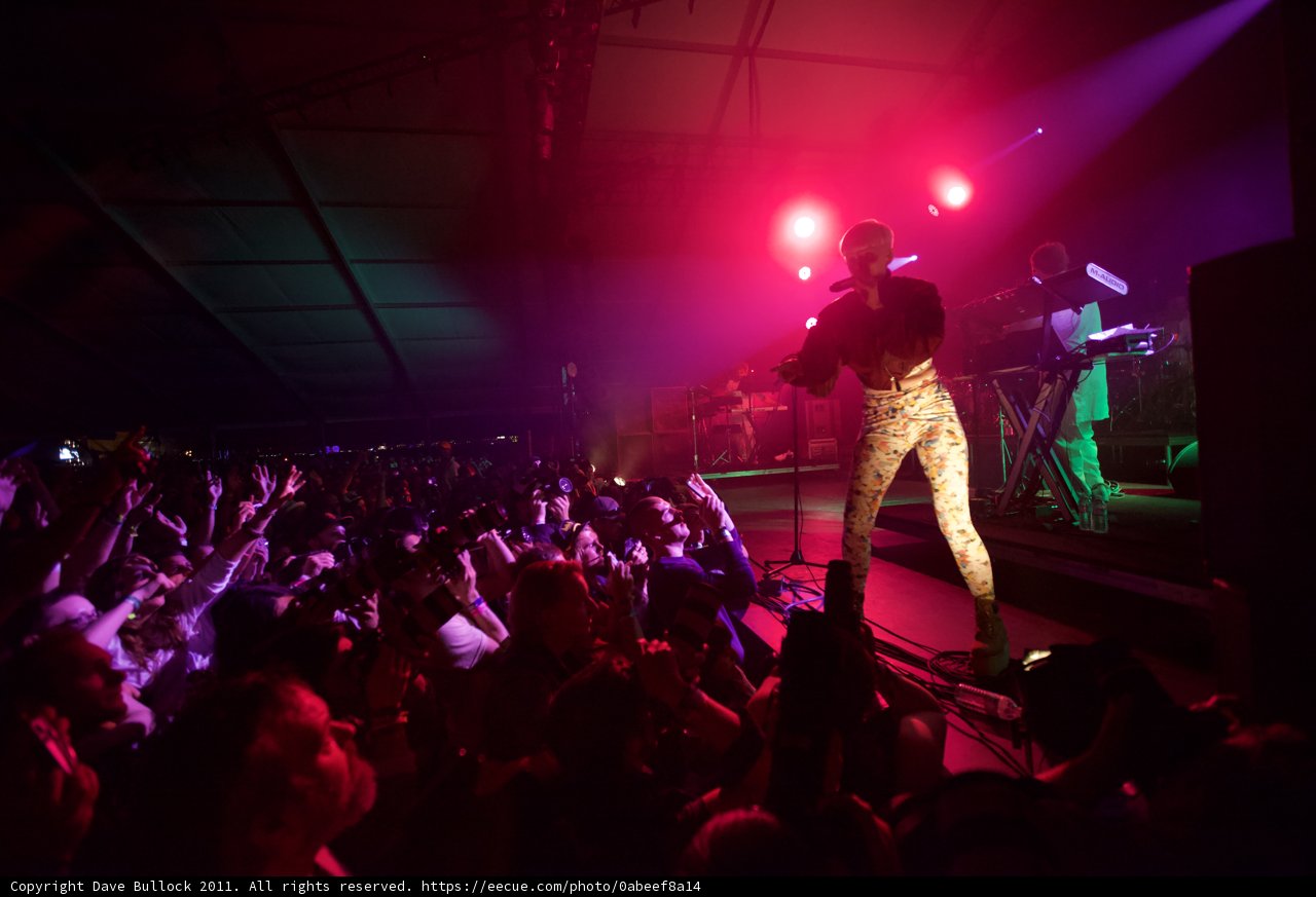 Rocking the Night Away