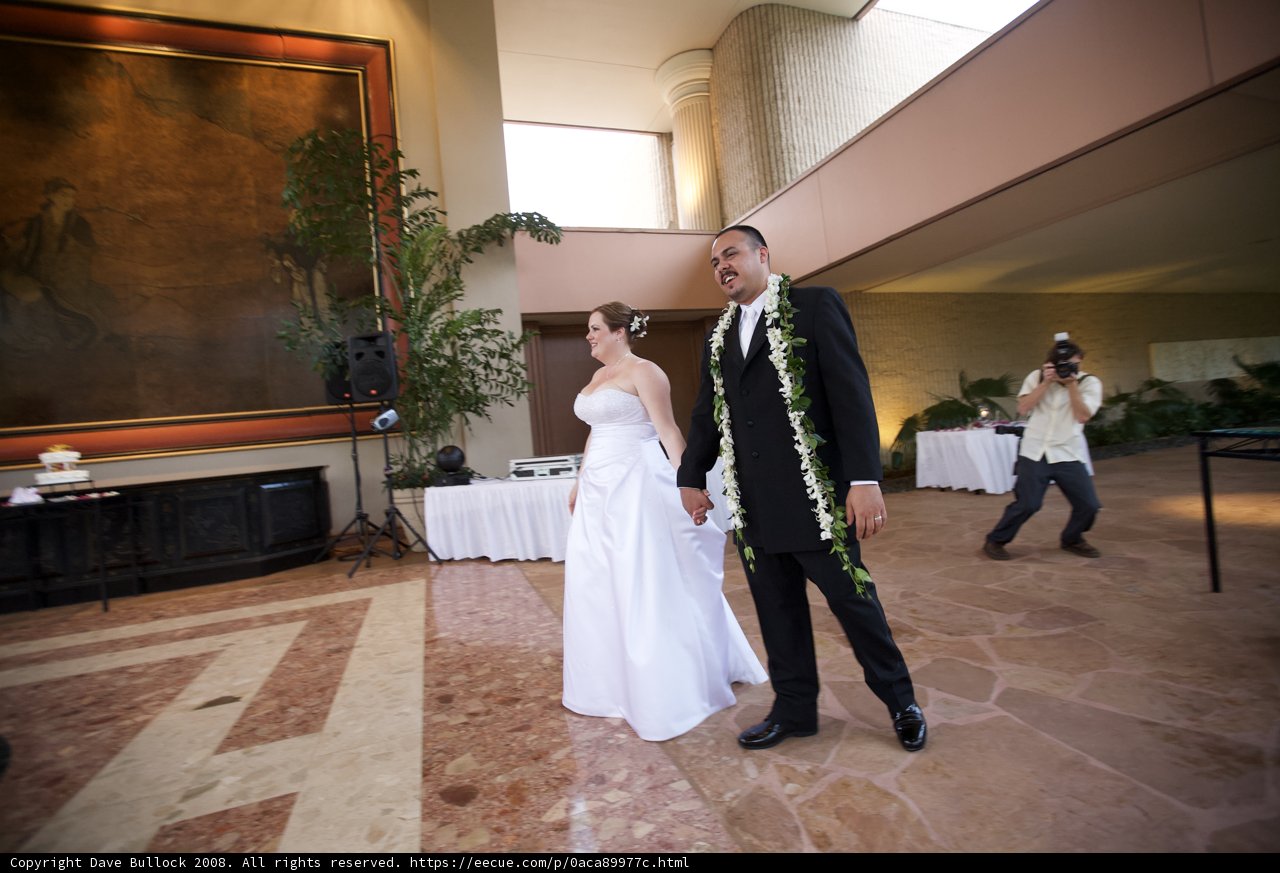 Wedding Walkway