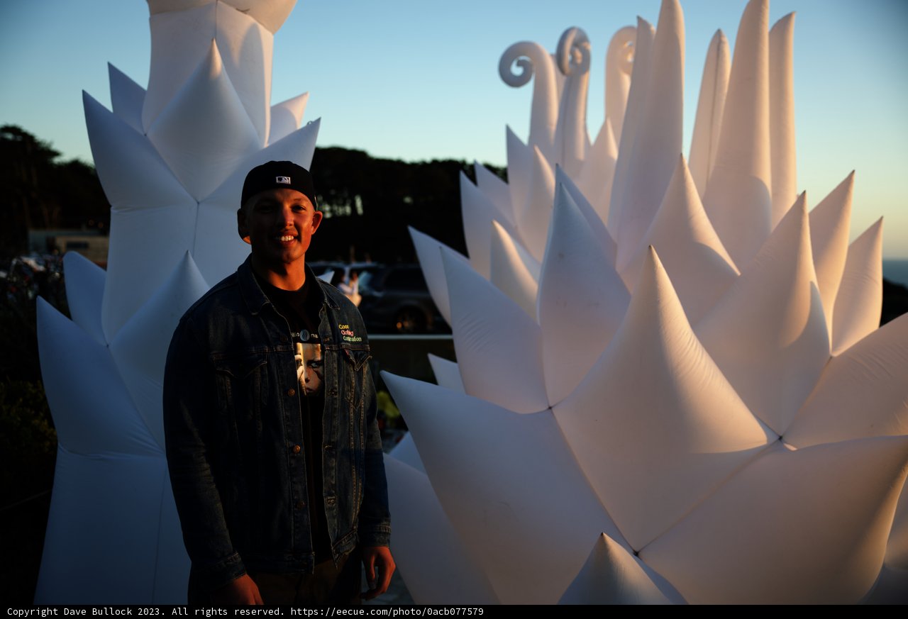 Encounters with Urban Art