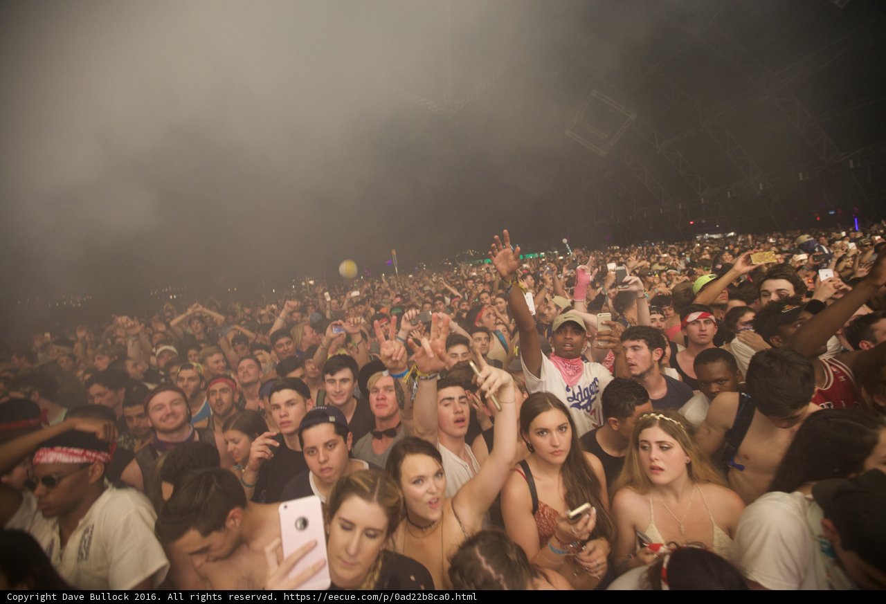 Coachella Concert Crowd