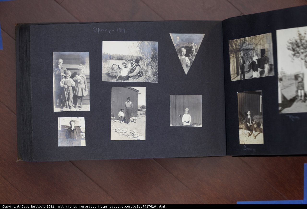 Bullock Curtis Family Collage