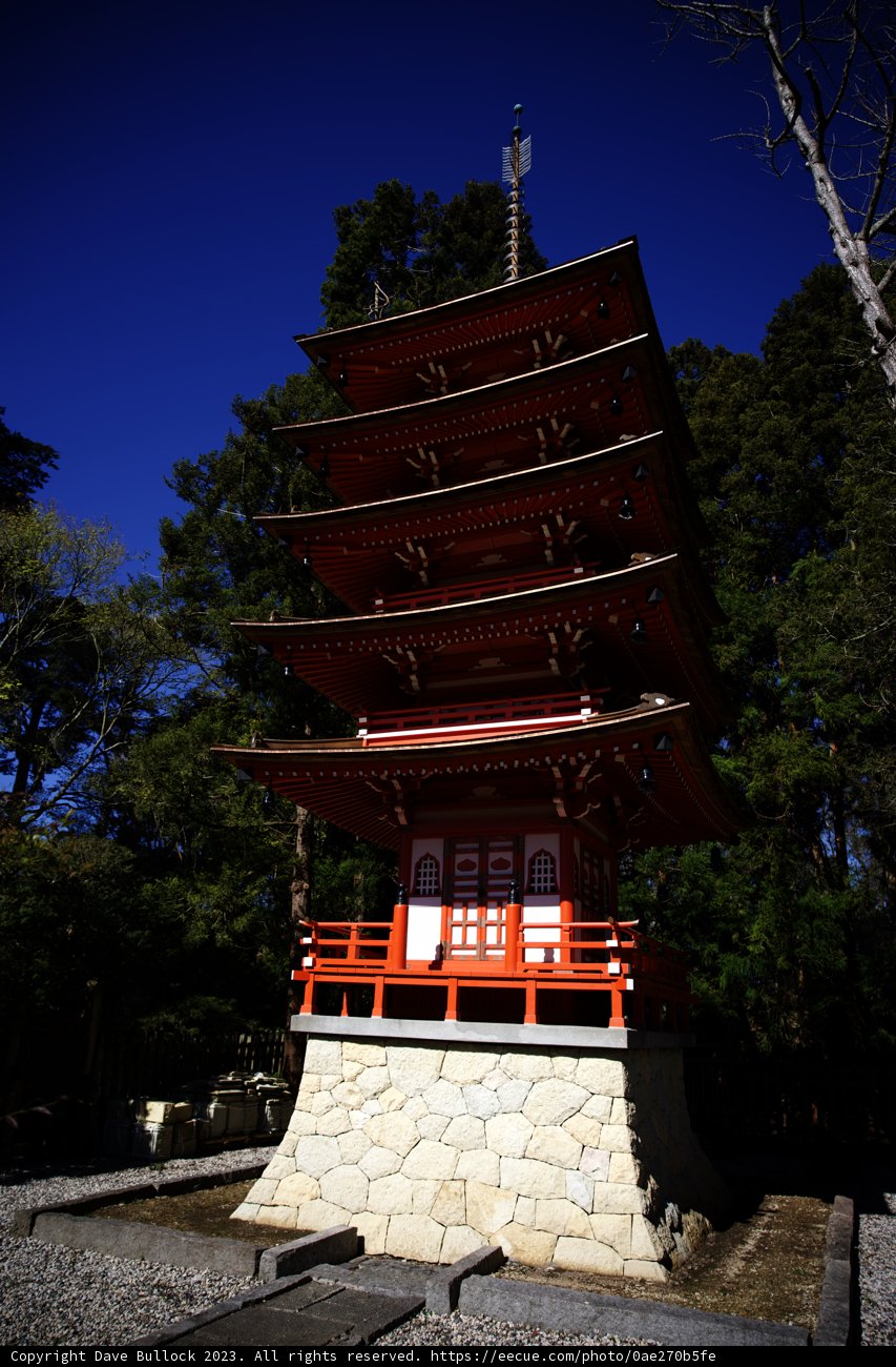 Serenity at the Japanese Tea Garden