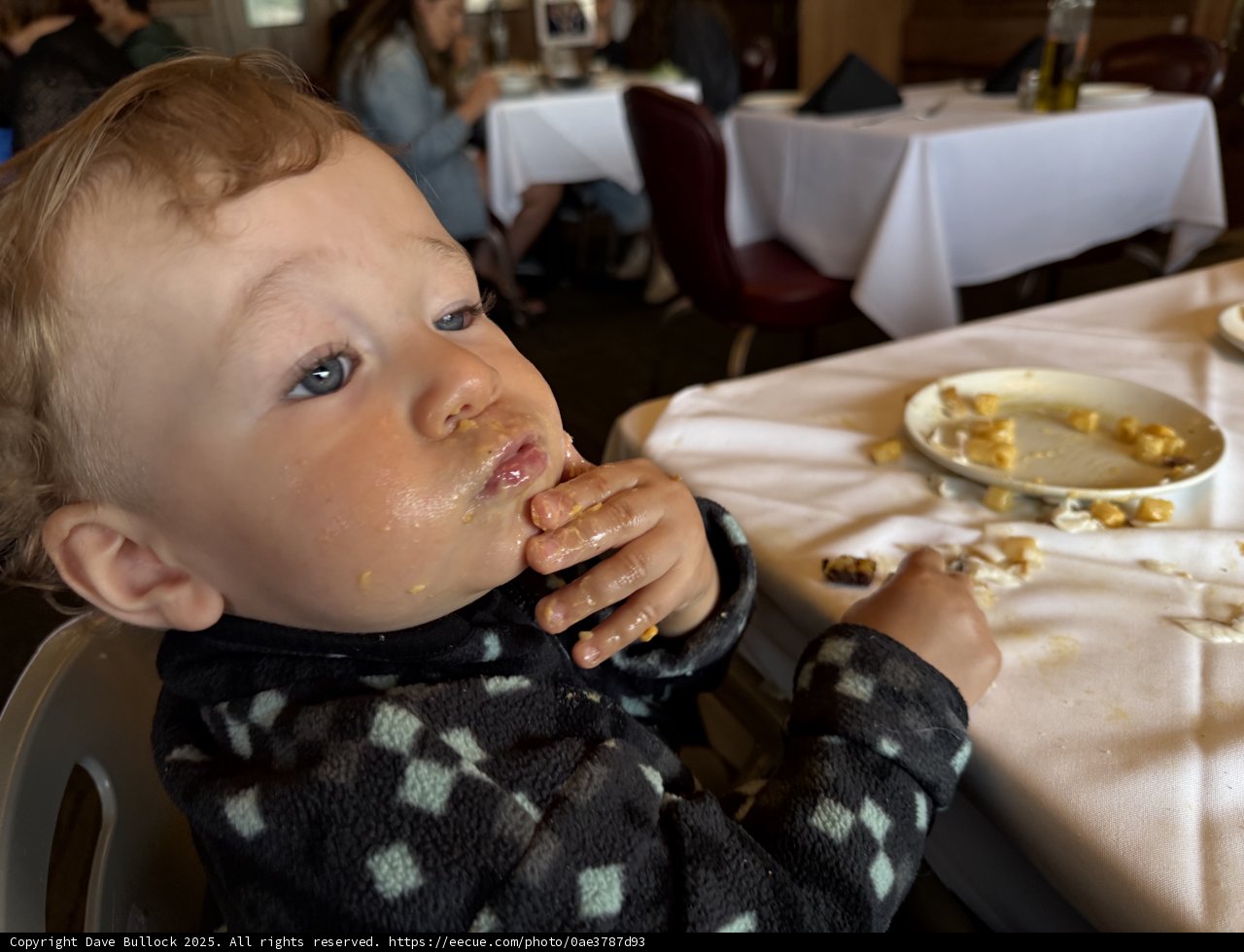 Little Food Critic in Action