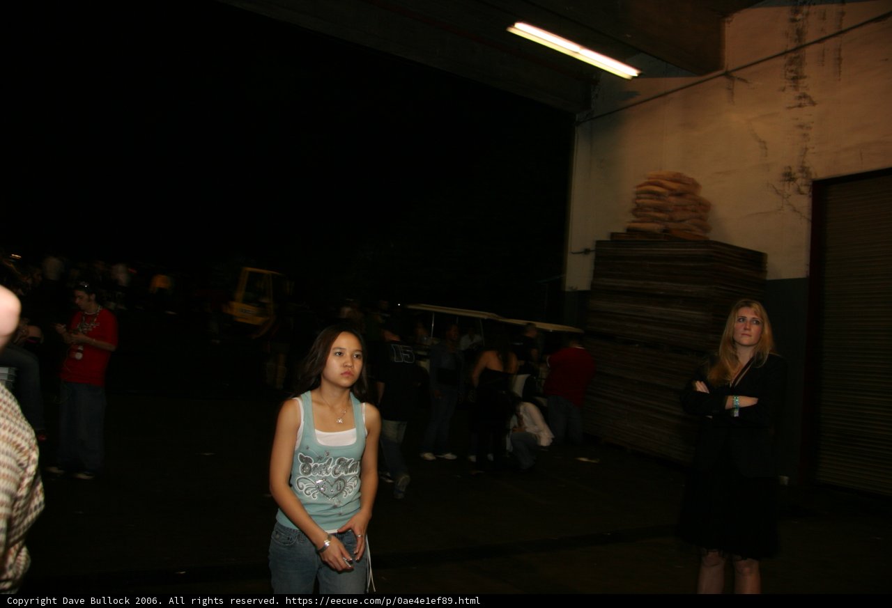 Group of Friends Enjoying the Nightlife