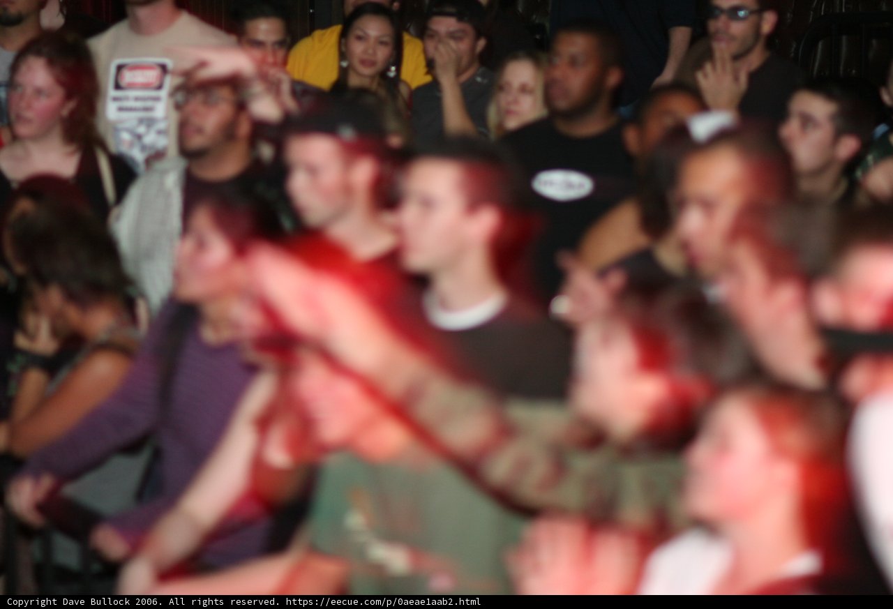 Crowd Goes Wild at Nightclub Concert