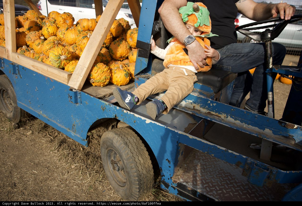 A Priceless Moment at the Pumpkin Patch