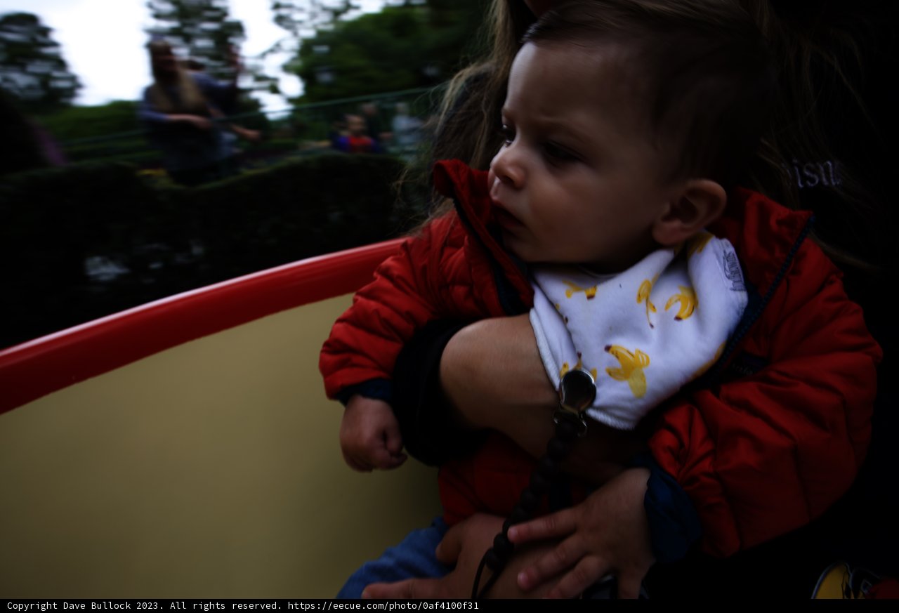 Magical Moments at Disneyland