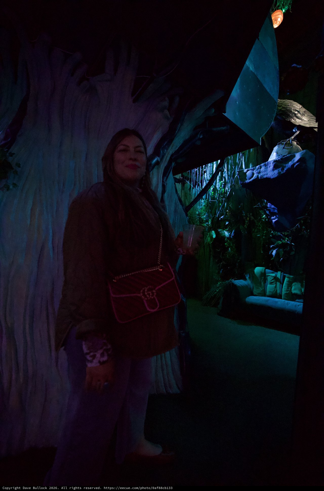 Woman Posing in Enchanted Forest Themed Exhibit