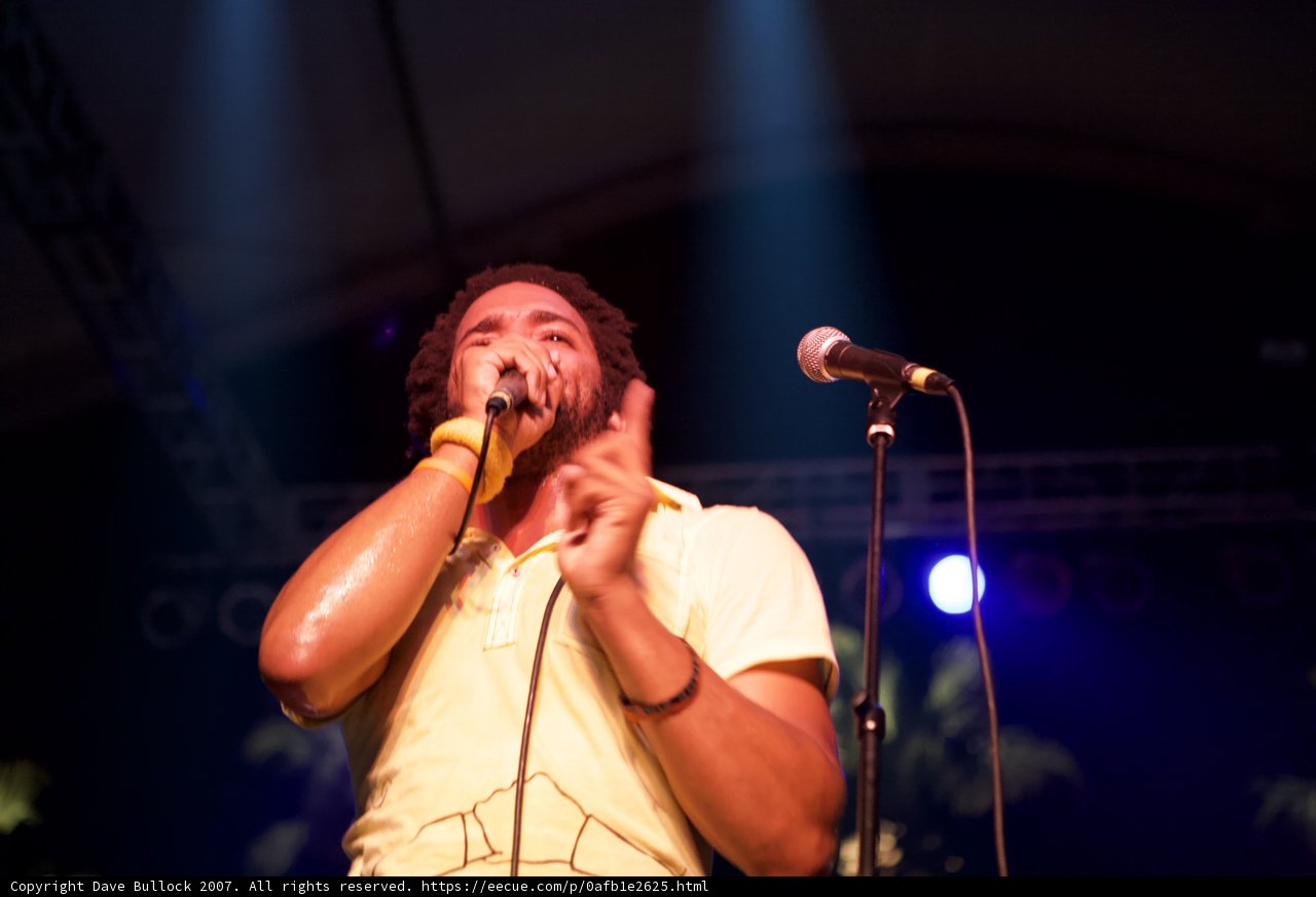 Spotlight on the Solo Performance