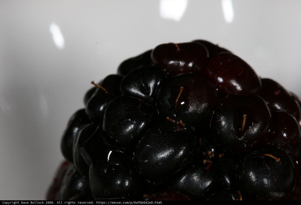 Juicy Blackberry Delight