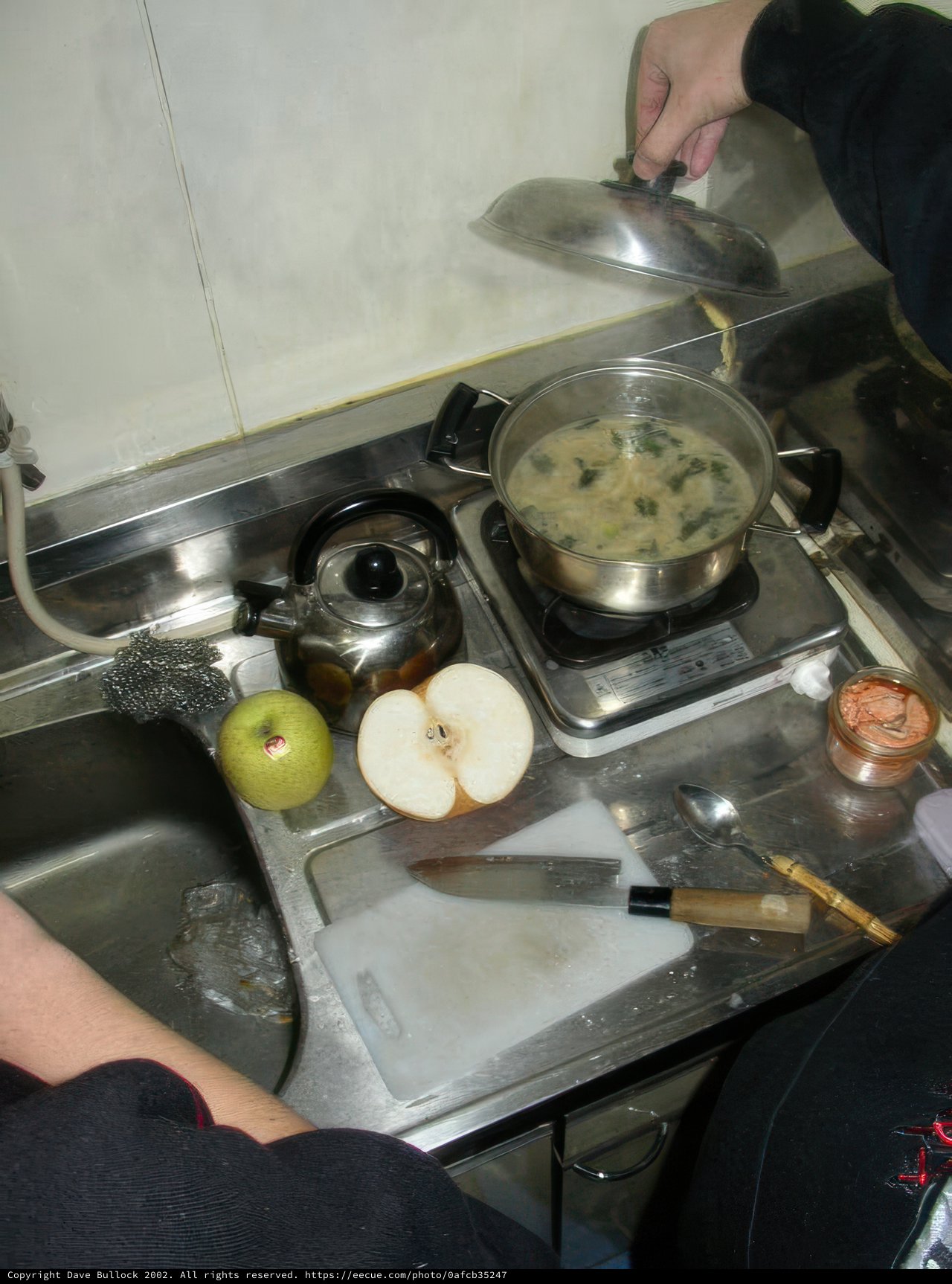 Master Chef at Work