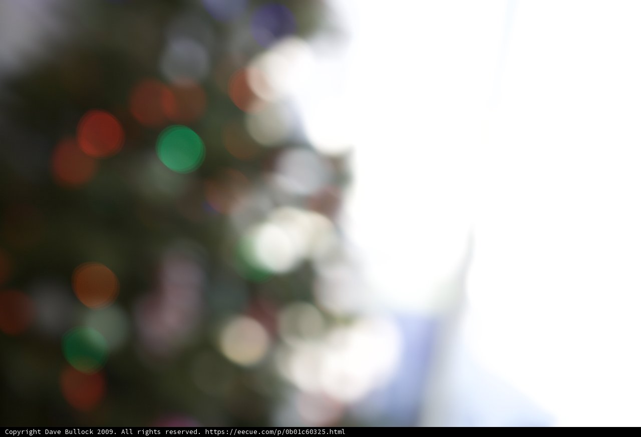 Festive Fir Illuminated at Christmas