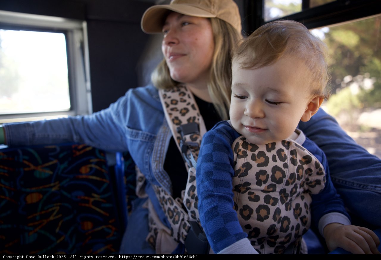 Hearst Castle Adventure with the Little Ones