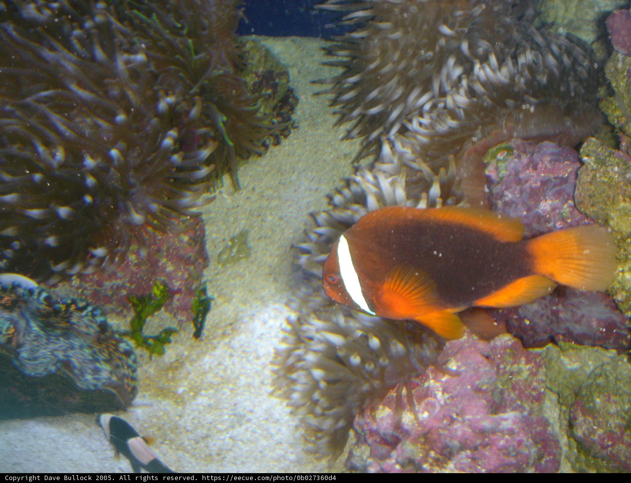 Underwater World