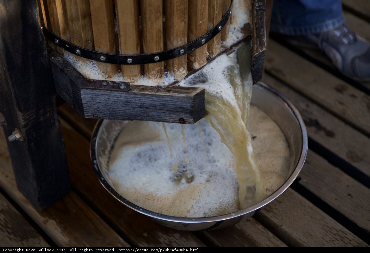 Pouring Fresh Milk at the Apple Farm