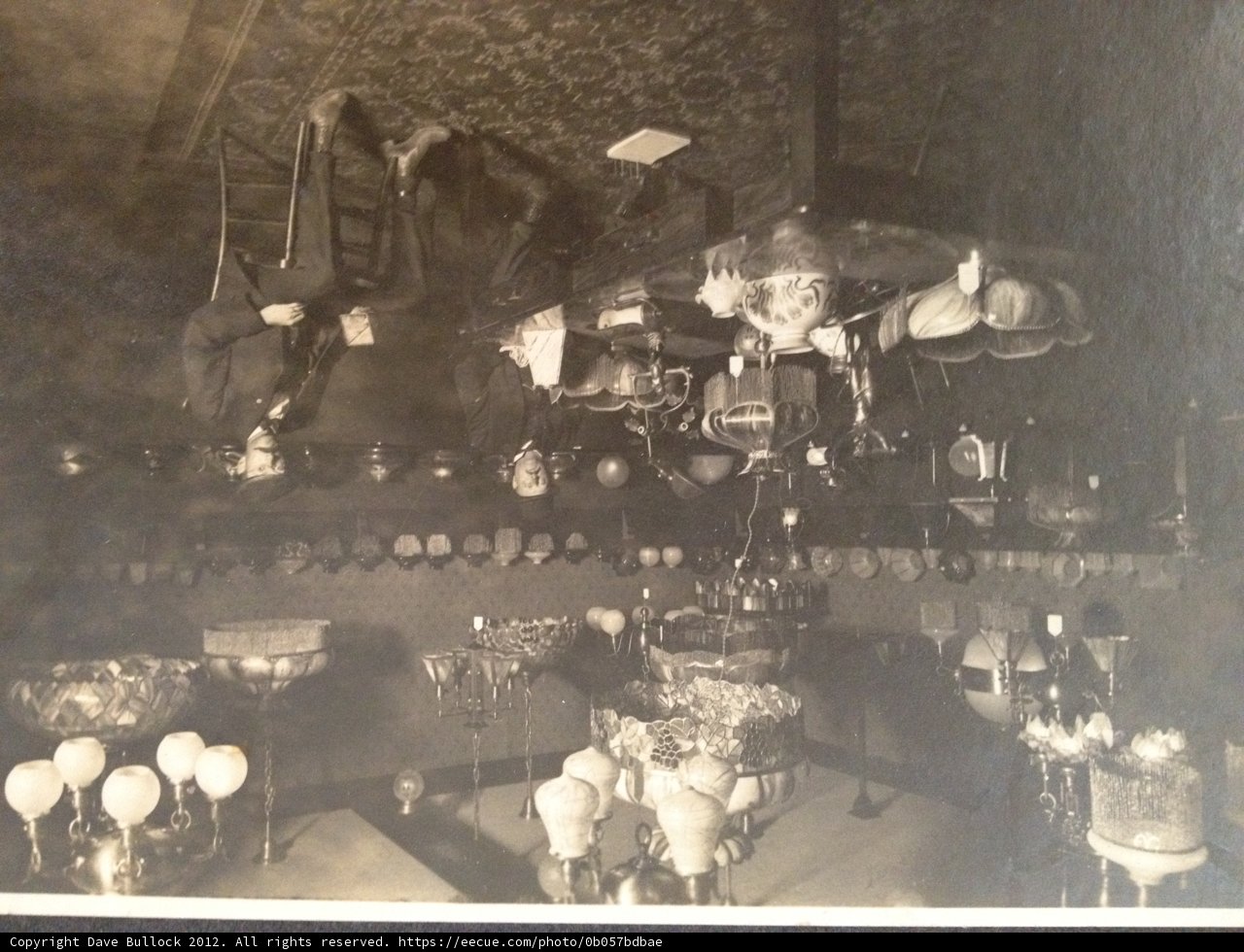 Bright Lights and Dining Delights