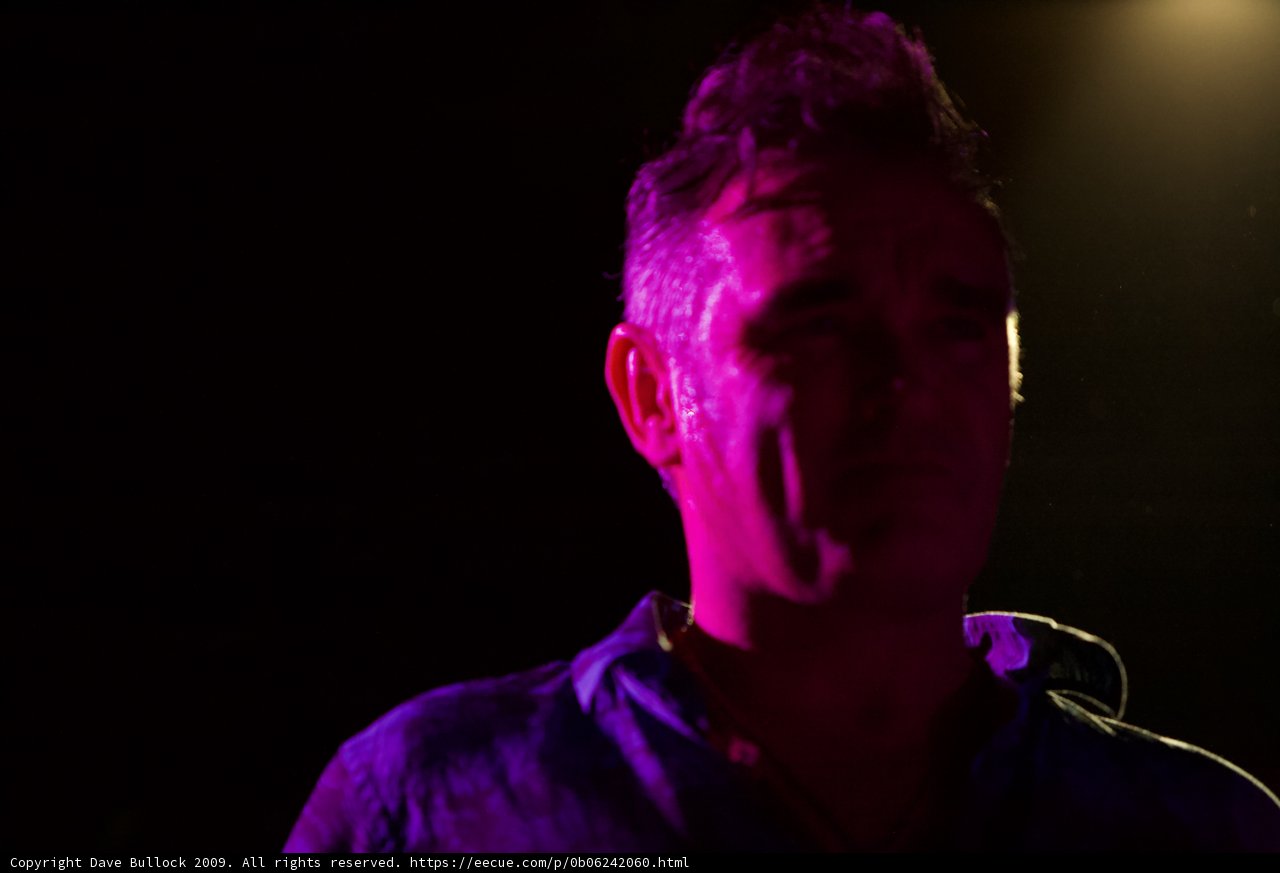 Morrissey stands in the Purple Spotlight