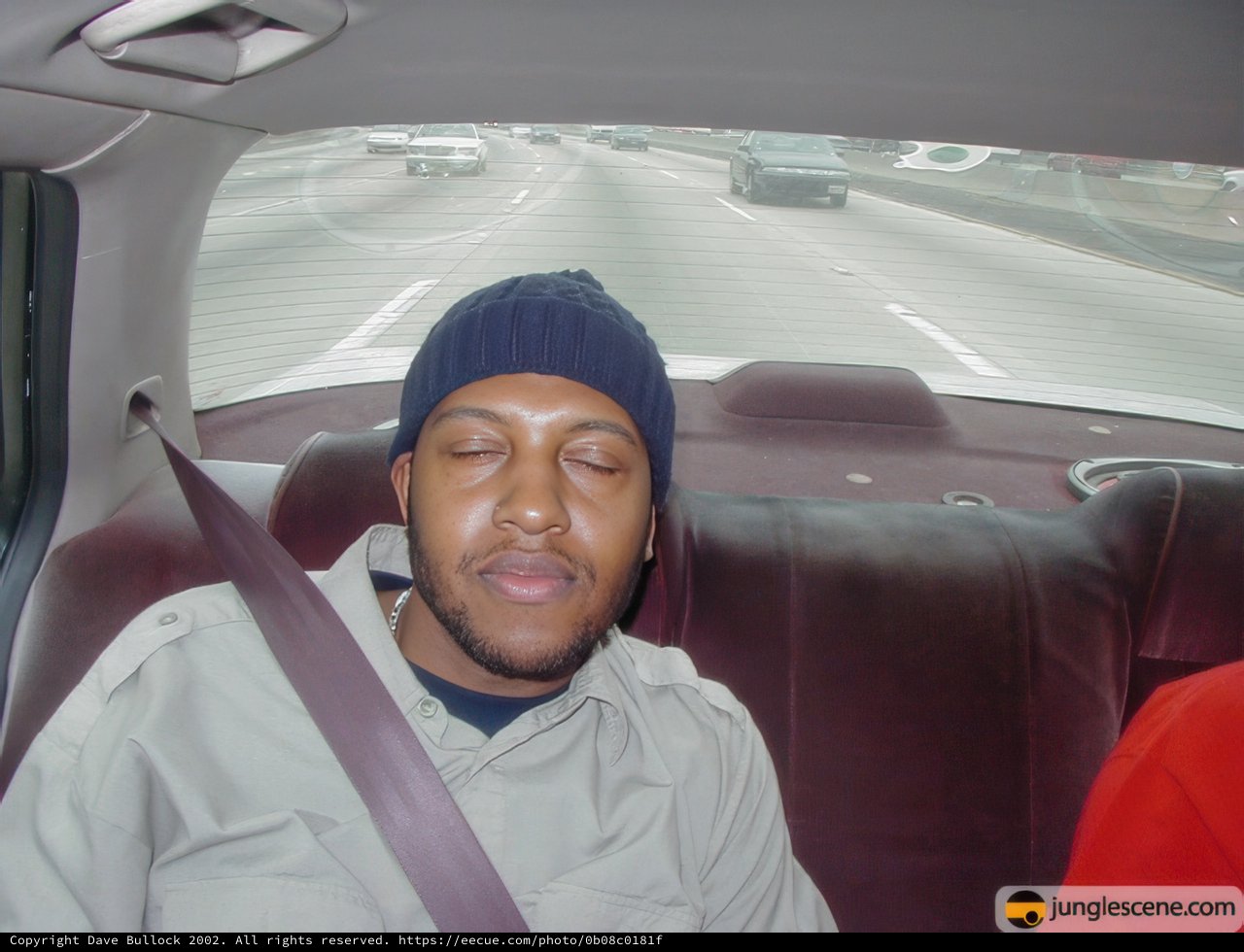 Two Men Riding in the Back Seat of a Car