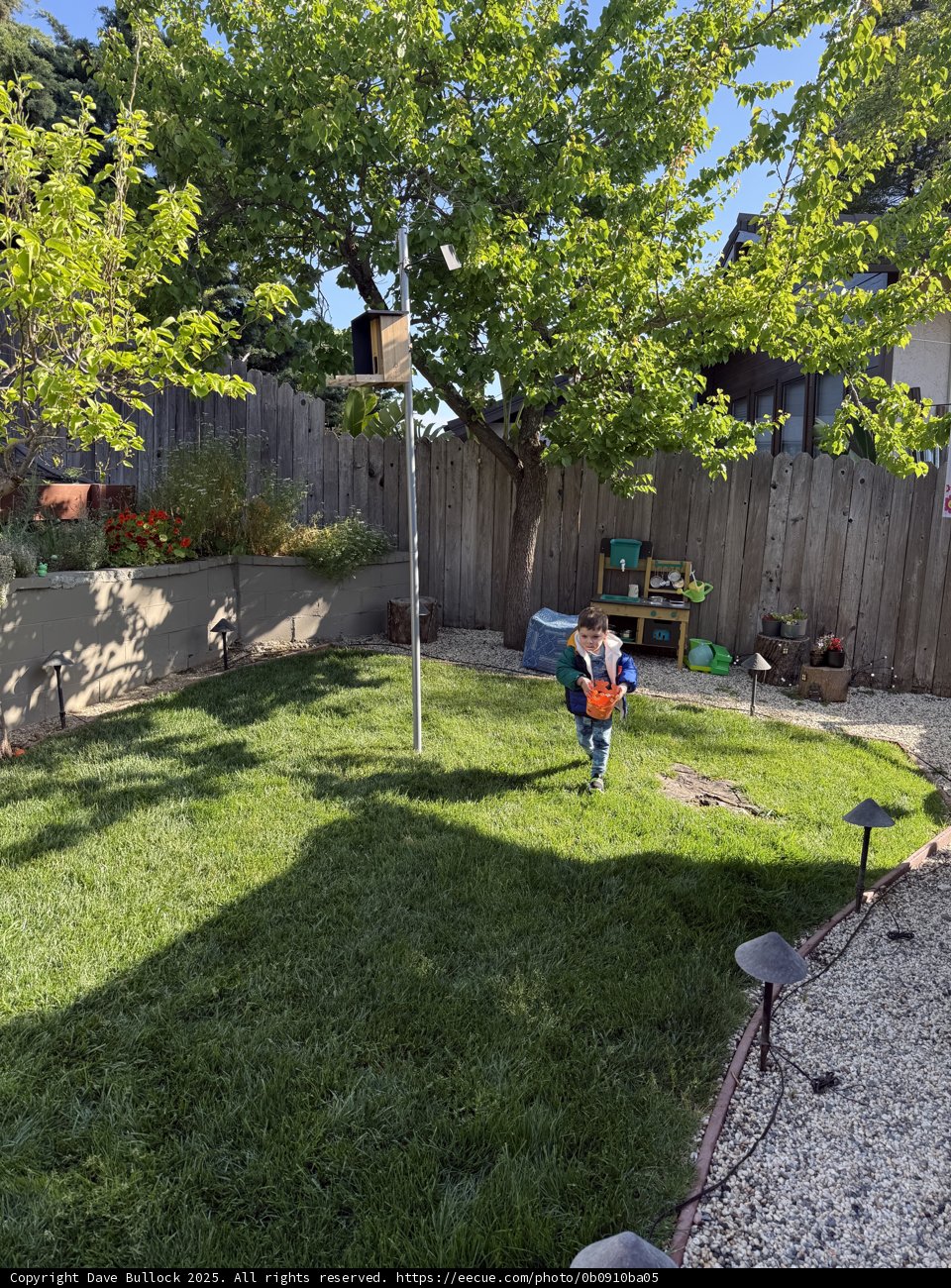 Springtime Adventures in the Backyard