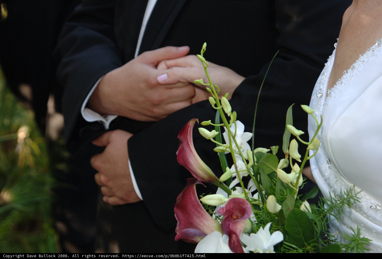 Holding Hands on Their Wedding Day
