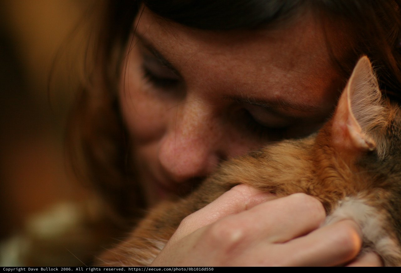 Tender Moment Between Woman and Ginger Cat