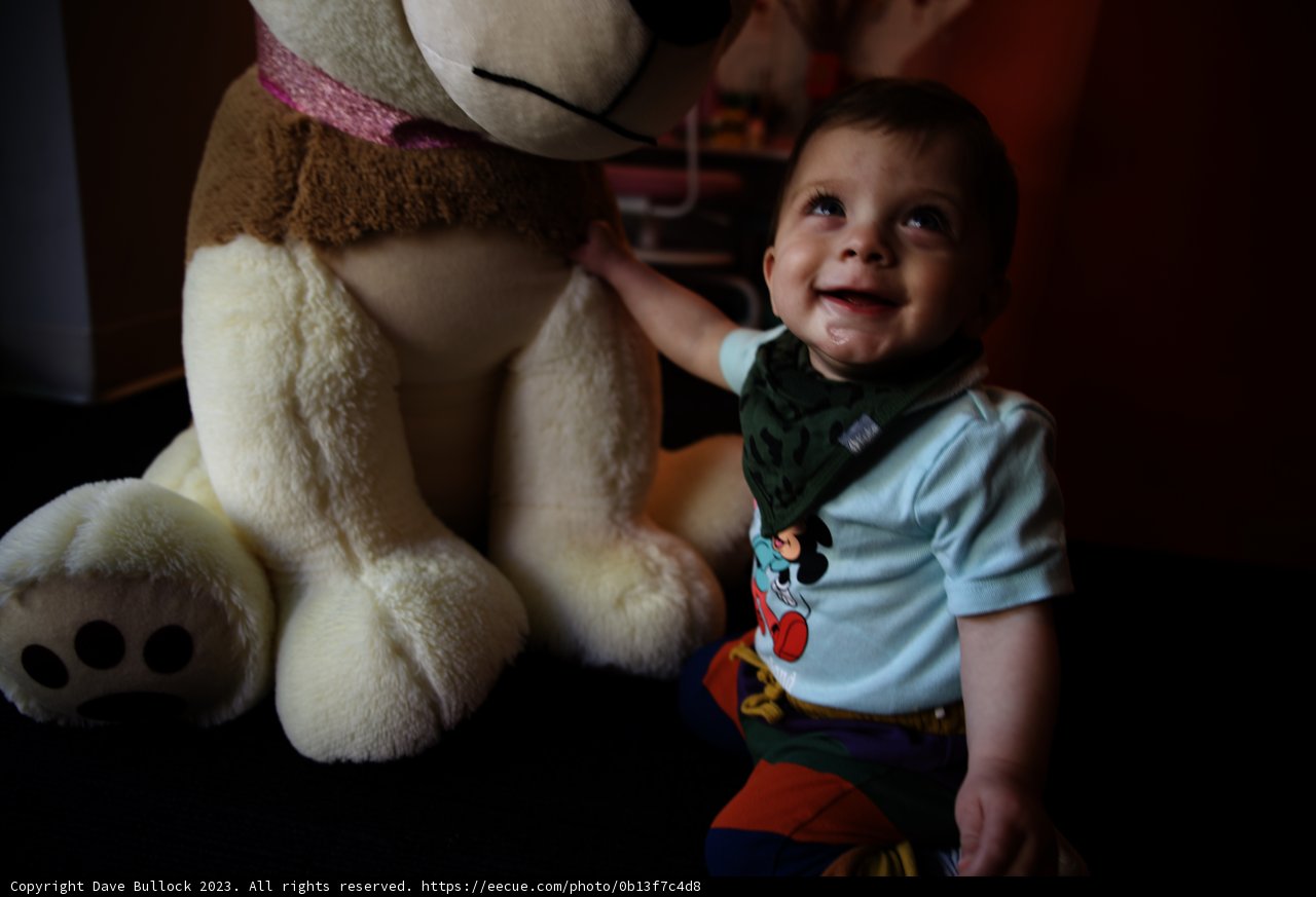 Wesley's Fluffy Companion