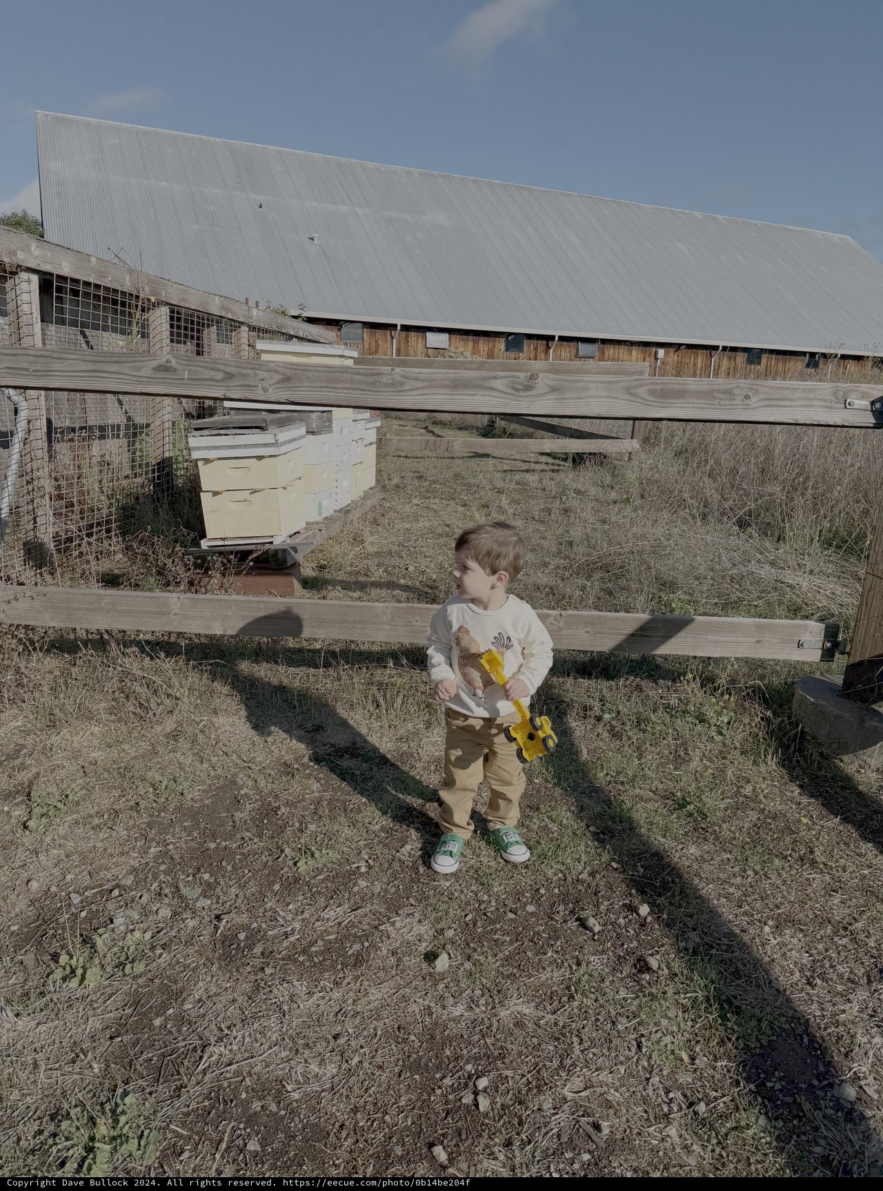 Toddler with Sunflower at Rural Farm
