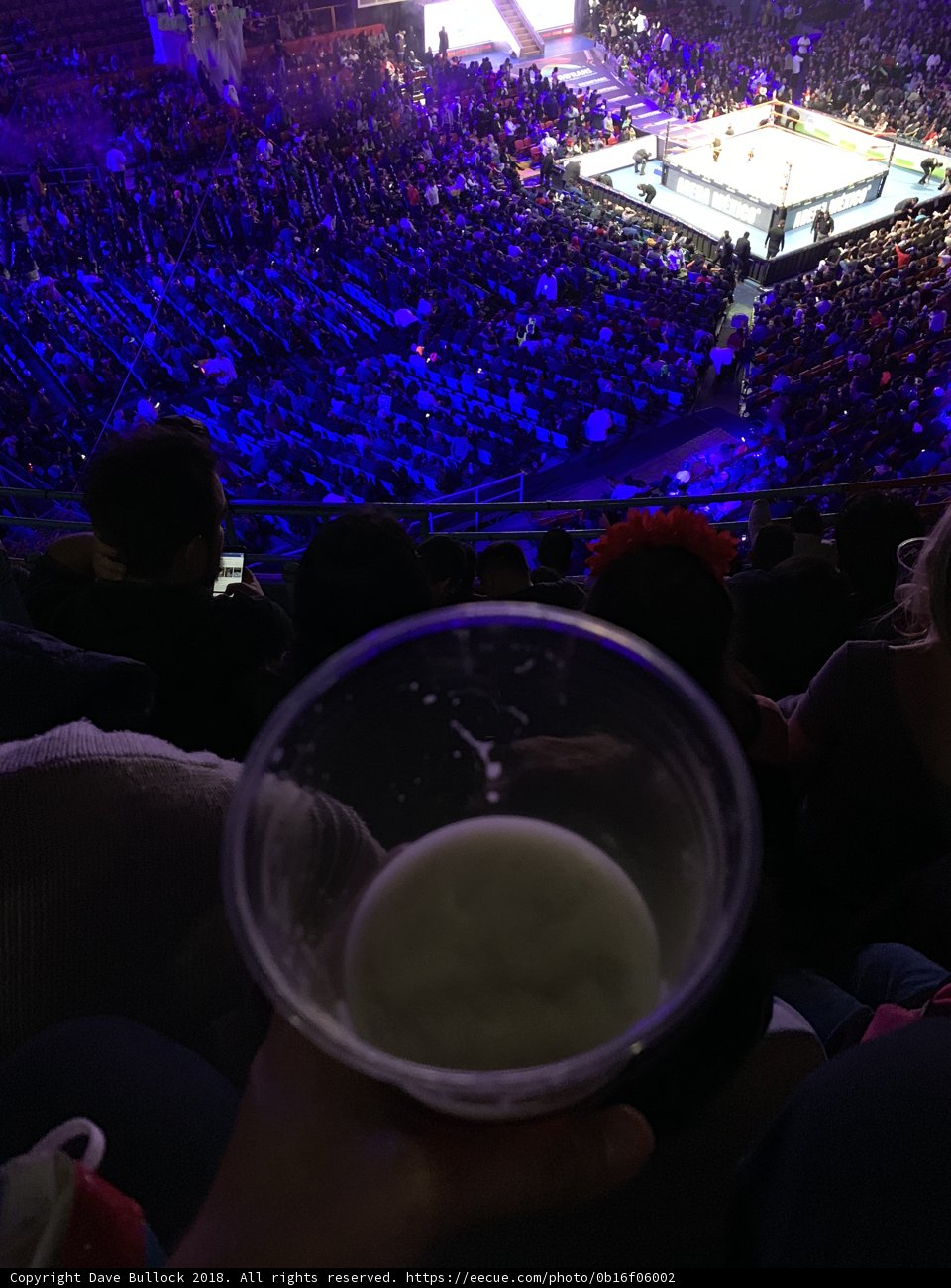 Milk Break in the Middle of the Concert