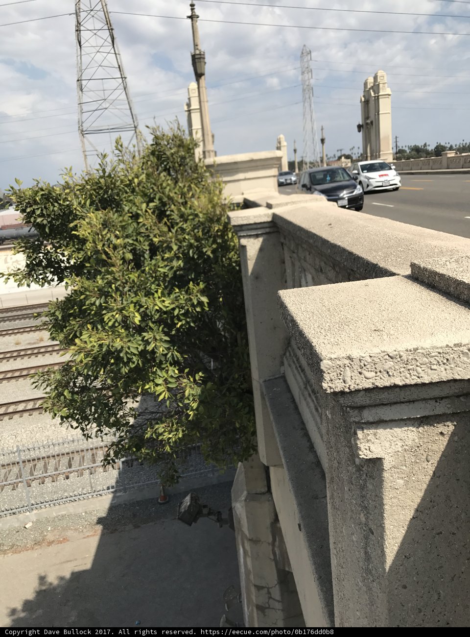 Bridge Tree
