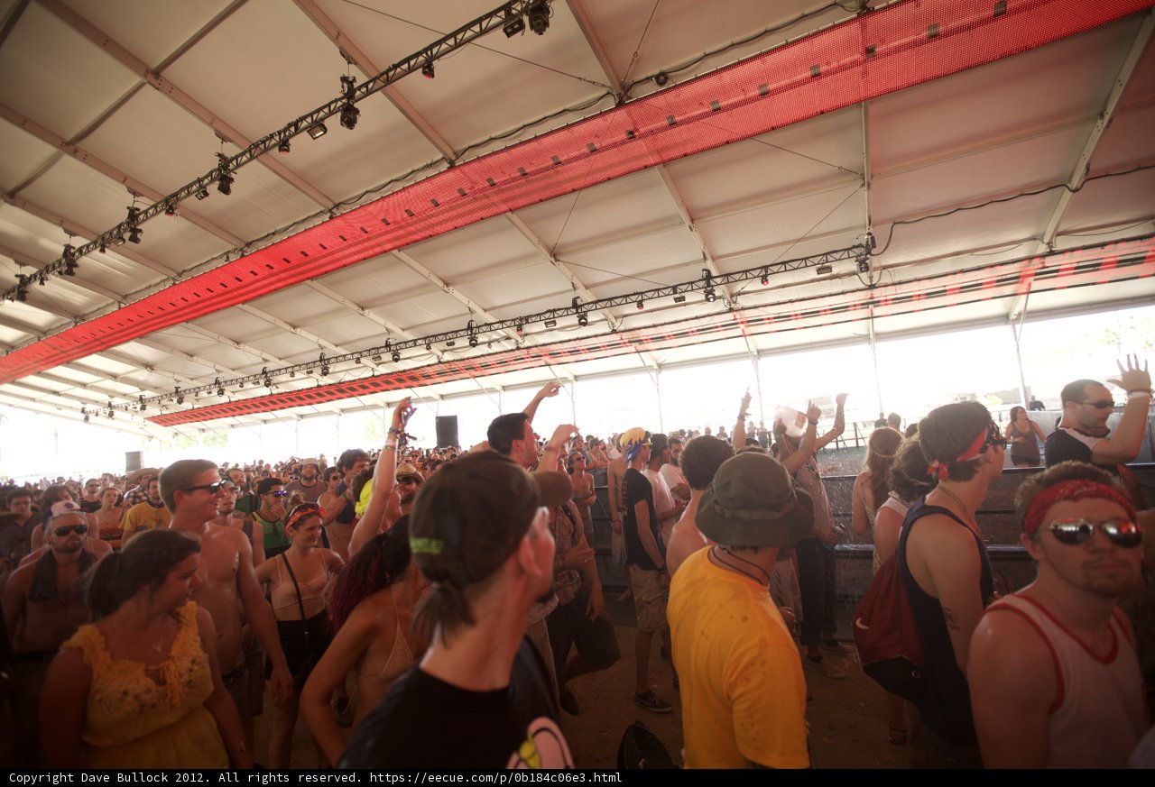 Coachella Crowd Vibes