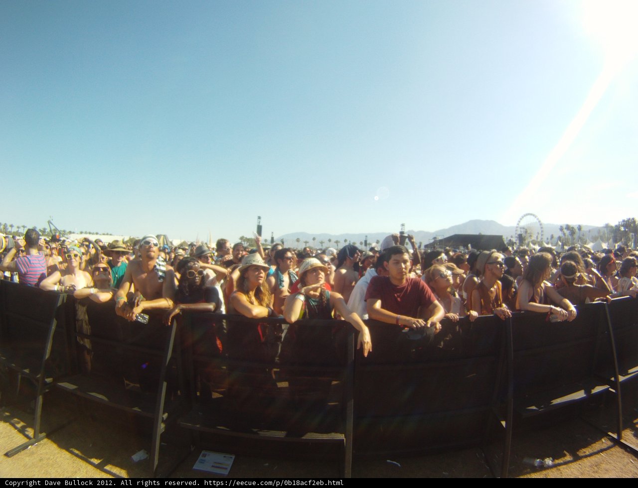 Music Festival Madness