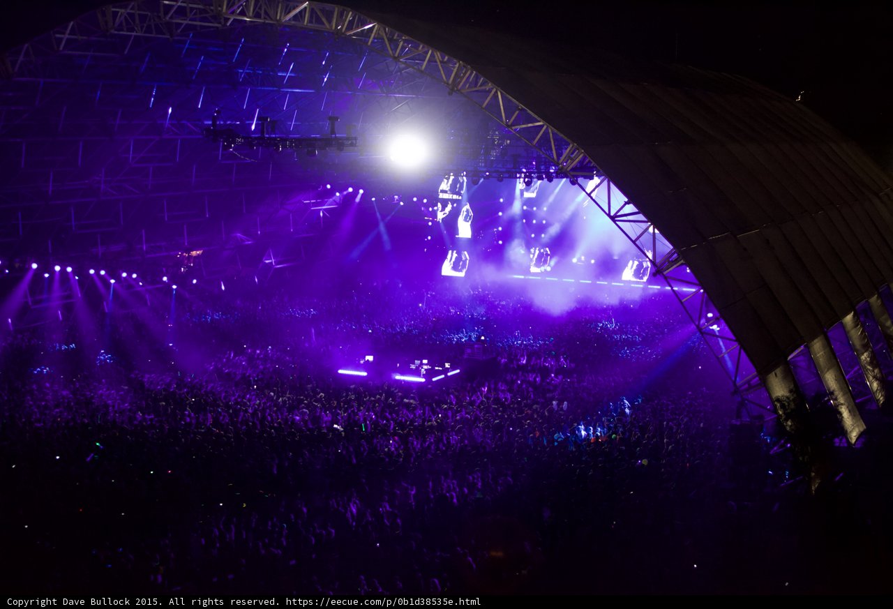 Purple Haze