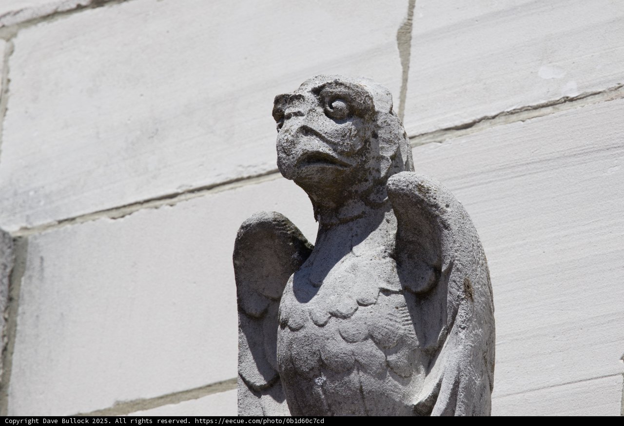 Guardian of the Castle