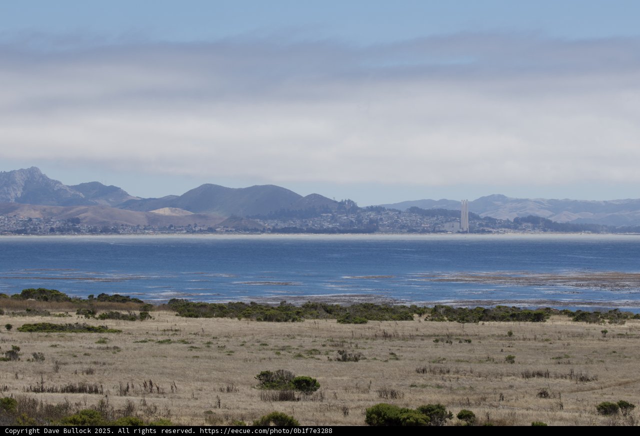 Coastal Serenity in Cayucos