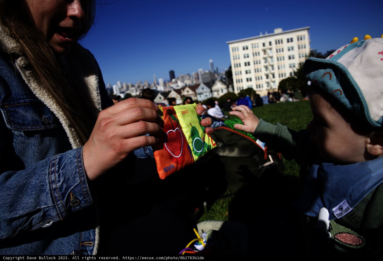 Joyful Moments at Alamo Square