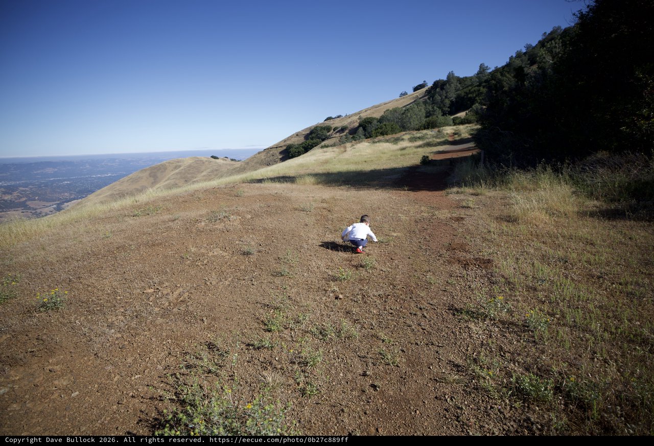 Child Explores Vast Hillside on Mount Diablo