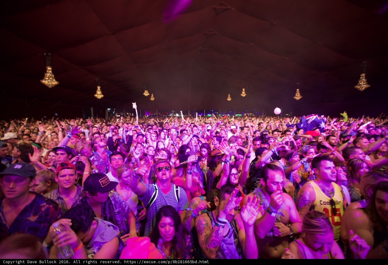 Electric Nights at Coachella