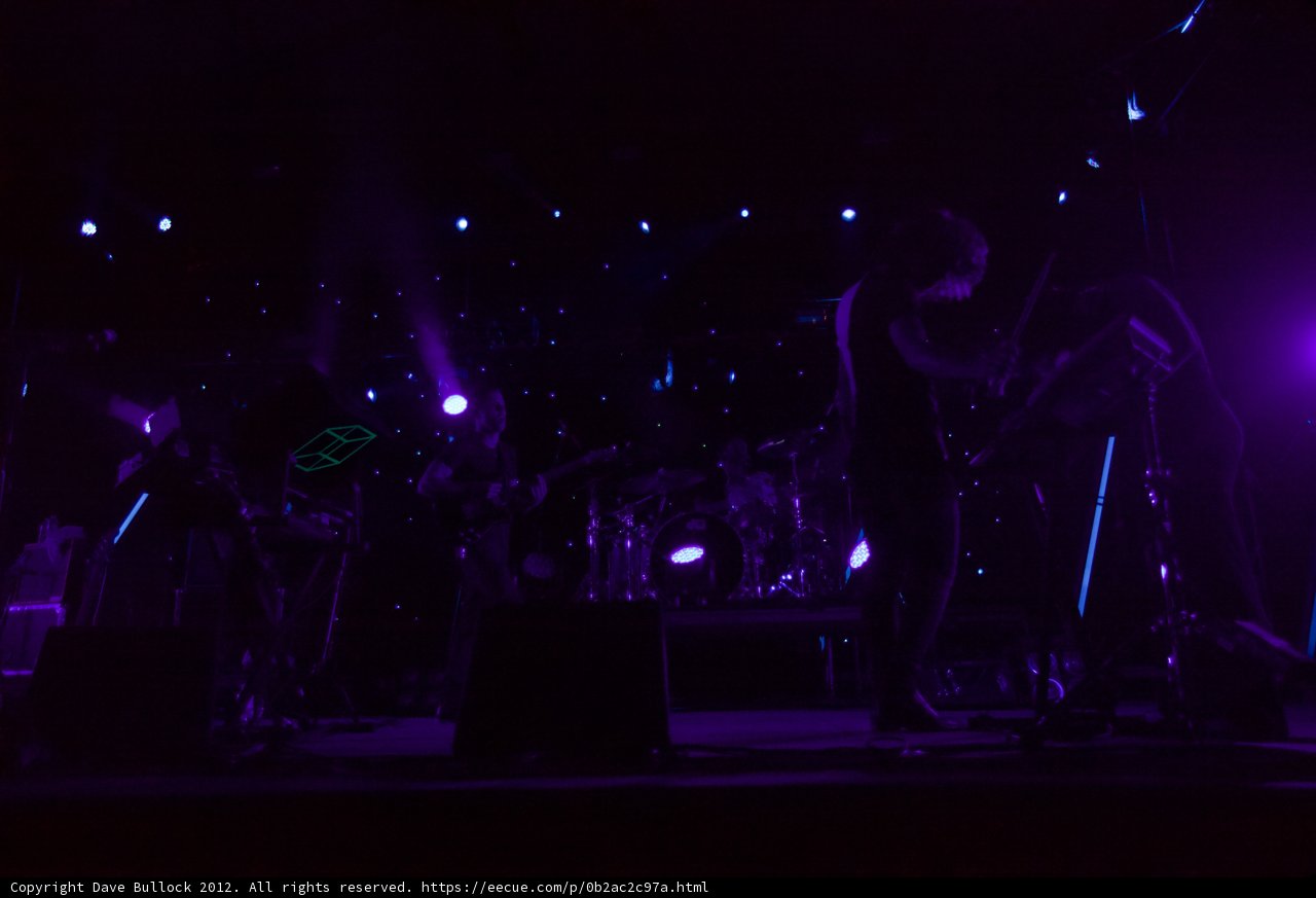 Purple Haze
