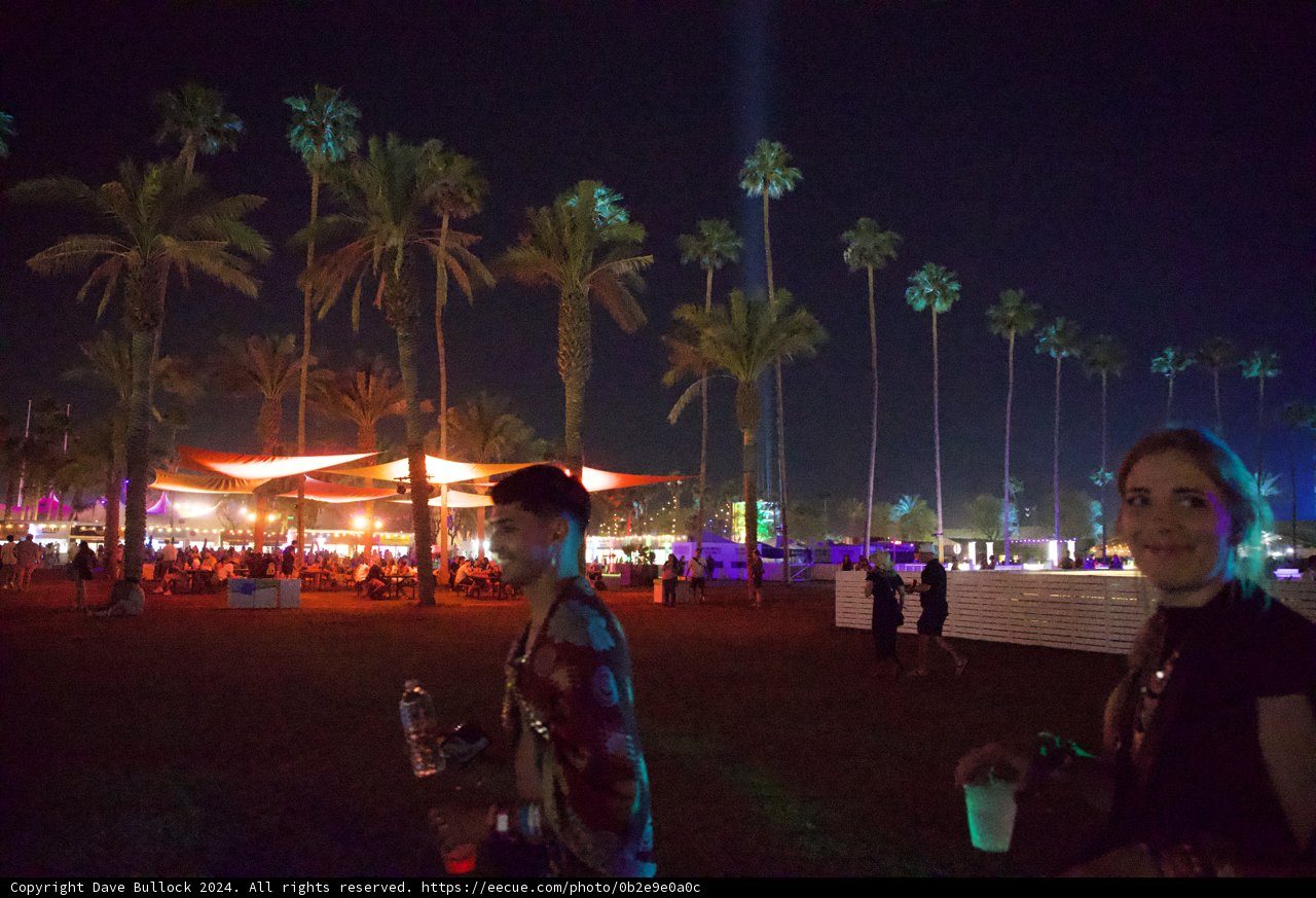 Palm Silhouettes and Festival Lights: A Night at Coachella 2024
