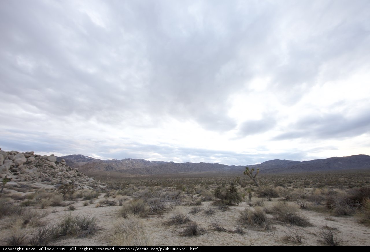Majestic Desert Landscape
