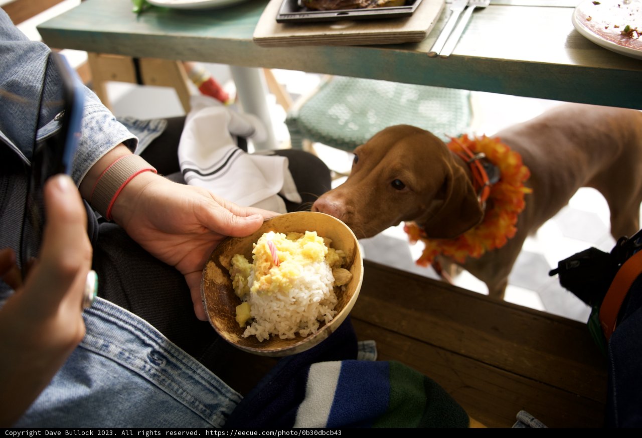 A Cozy Afternoon Meal in San Francisco