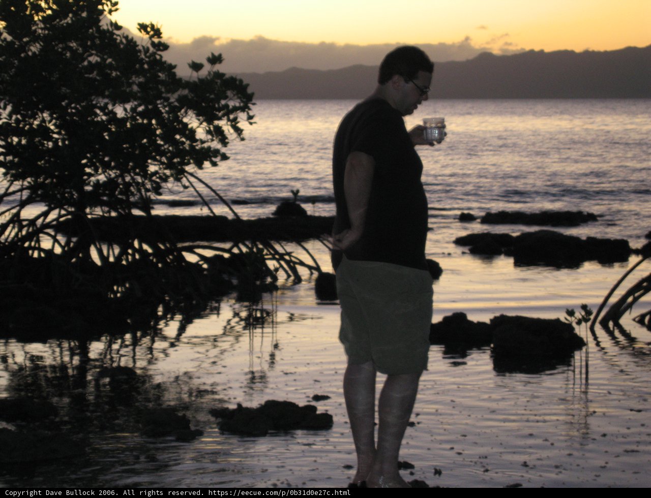 Silhouette by the Lake