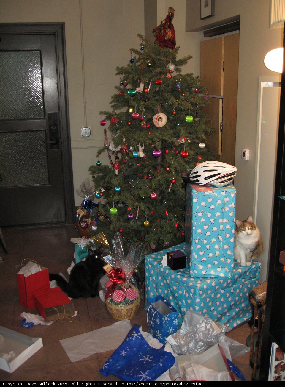 A Furry Festive Feline
