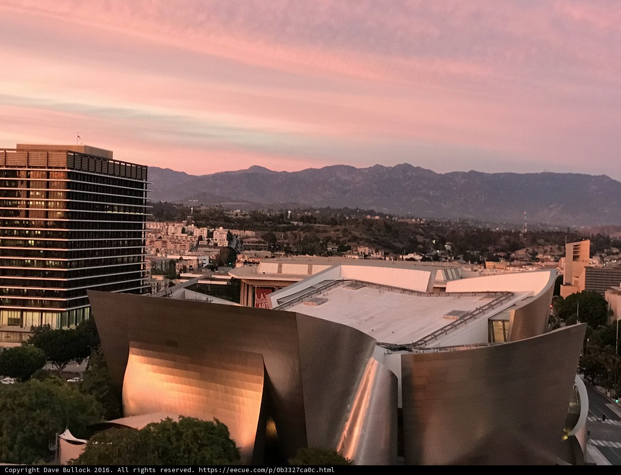 The Walt Disney Concert Hall in the Cityscape